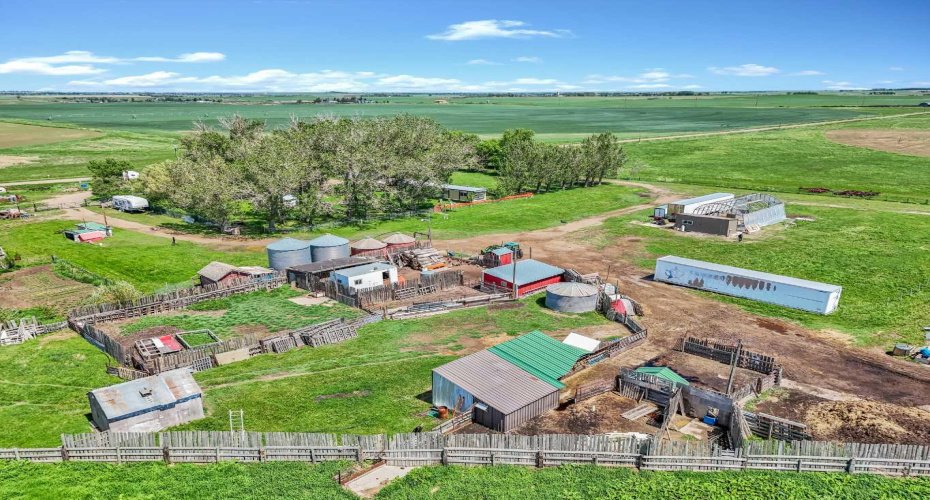 6317 Township Road 114, Rural Cypress County, Alberta T1A 7H1, 3 Bedroom Bedrooms, 0 ,2 BathroomBathrooms,Residential,For Sale,Township Road 114,0,A2317951