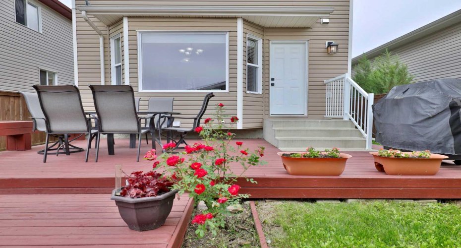 Back Door & Deck