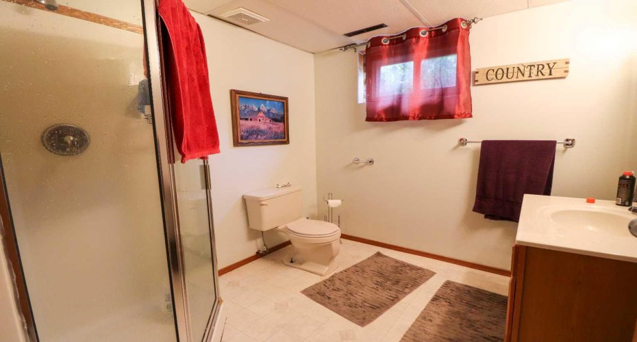 Basement Bathroom