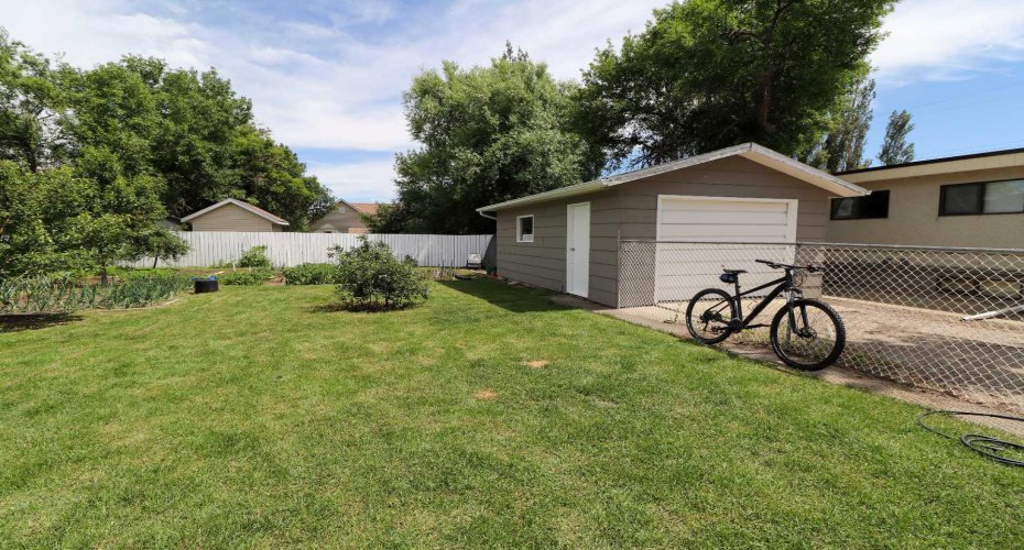 Garage/ Back Yard