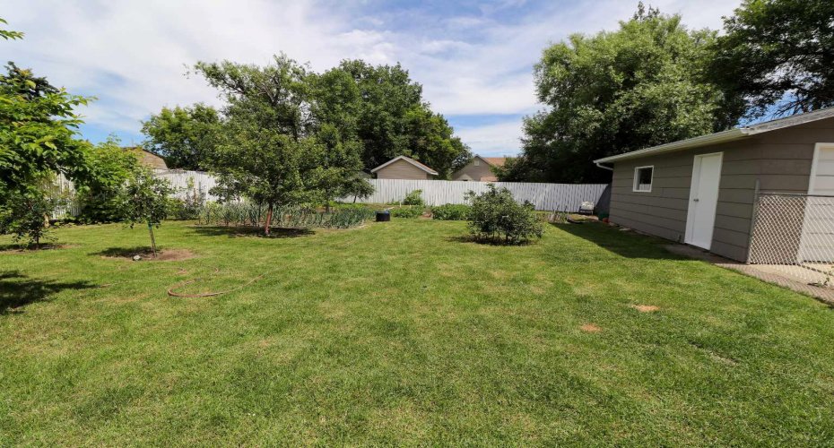 Garage/ Back Yard