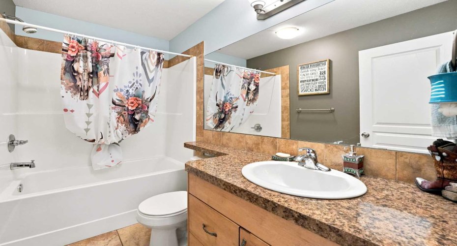 Main floor bathroom