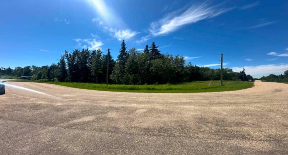 421041 Range Road 260, Rural Ponoka County, Alberta T4J1R3, 0 , 0 ,0,Land,For Sale,Range Road 260,0,A2327389