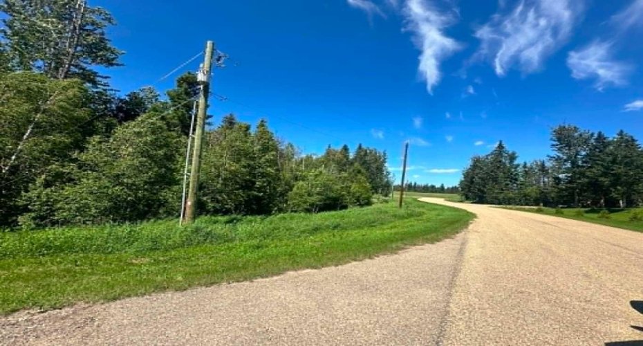 421041 Range Road 260, Rural Ponoka County, Alberta T4J1R3, 0 , 0 ,0,Land,For Sale,Range Road 260,0,A2327389