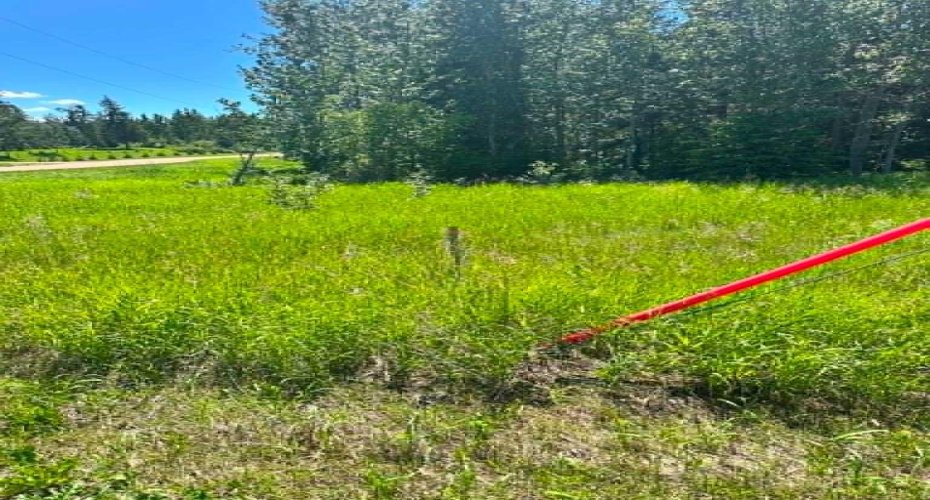 property line on corner