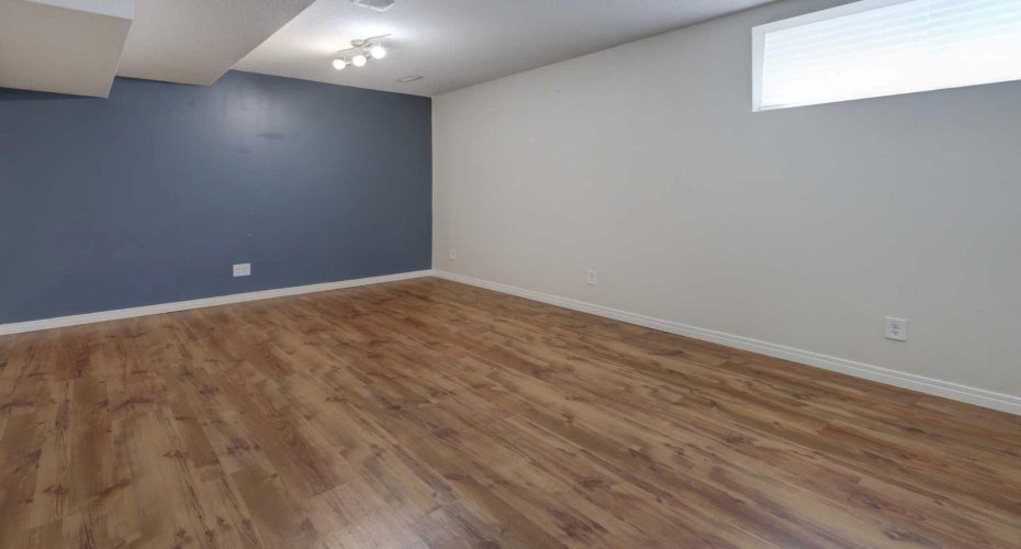 Lower level rec room
