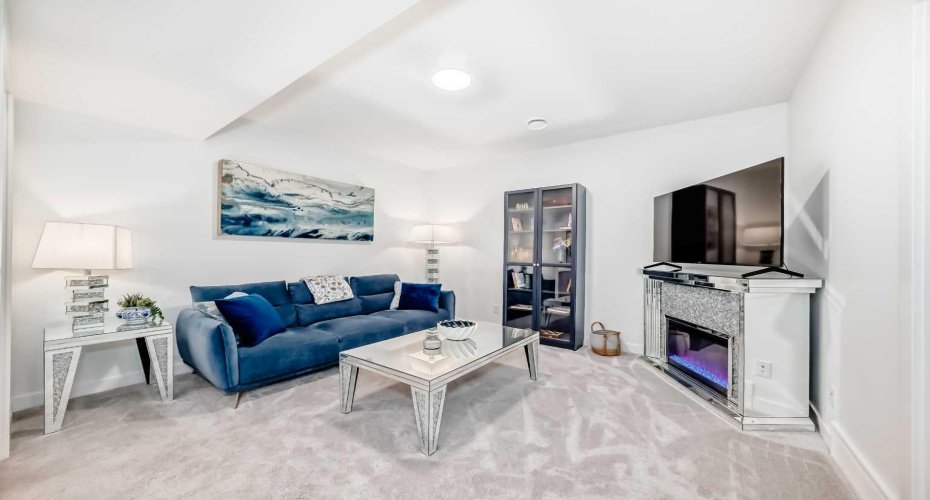 Legal Suite