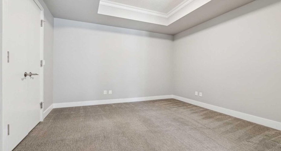 Den/guest bedroom.