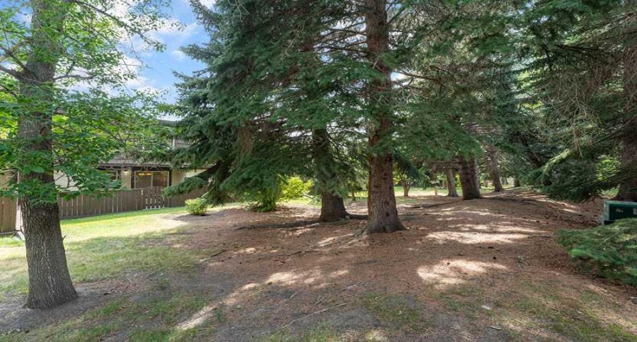 3130 66 Avenue, Calgary, Alberta T3E 5K3, 4 Bedroom Bedrooms, 0 ,3 BathroomBathrooms,Residential,For Sale,66,0,A2327564