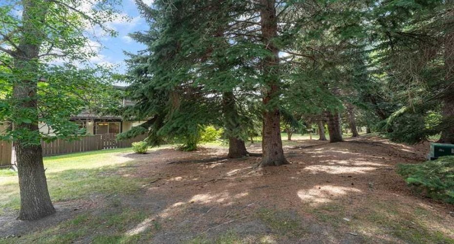 3130 66 Avenue, Calgary, Alberta T3E 5K3, 4 Bedroom Bedrooms, 0 ,3 BathroomBathrooms,Residential,For Sale,66,0,A2327564