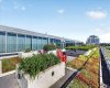235 9A Street, Calgary, Alberta T2N 4H7, 1 Bedroom Bedrooms, 0 ,1 BathroomBathrooms,Residential,For Sale,9A,0,A2327665