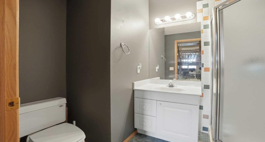 Basement Bathroom