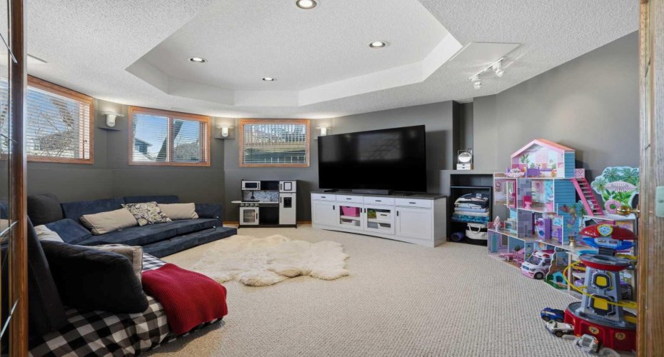 Basement Rec room