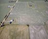 31340 Range Road 270, Didsbury, Alberta T0M0W0, 3 Bedroom Bedrooms, 0 ,3 BathroomBathrooms,Residential,For Sale,Range Road 270,0,A2323103