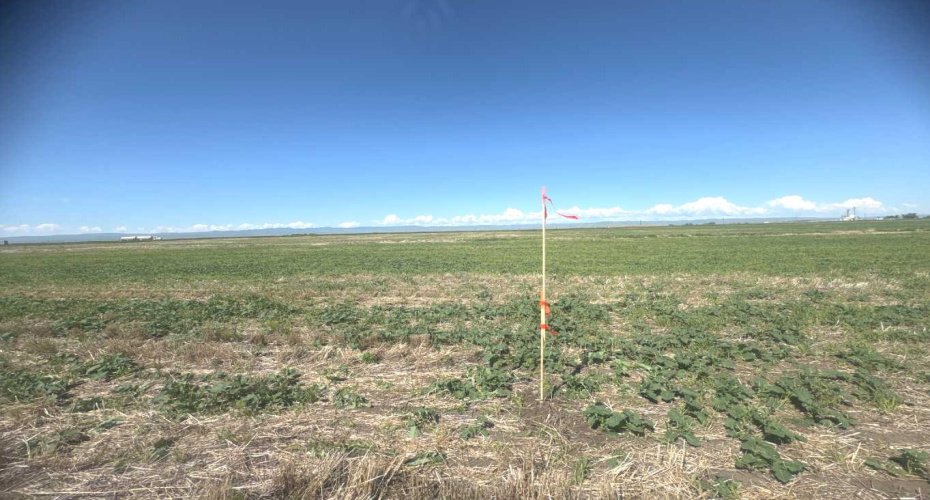 Access from Highway 2