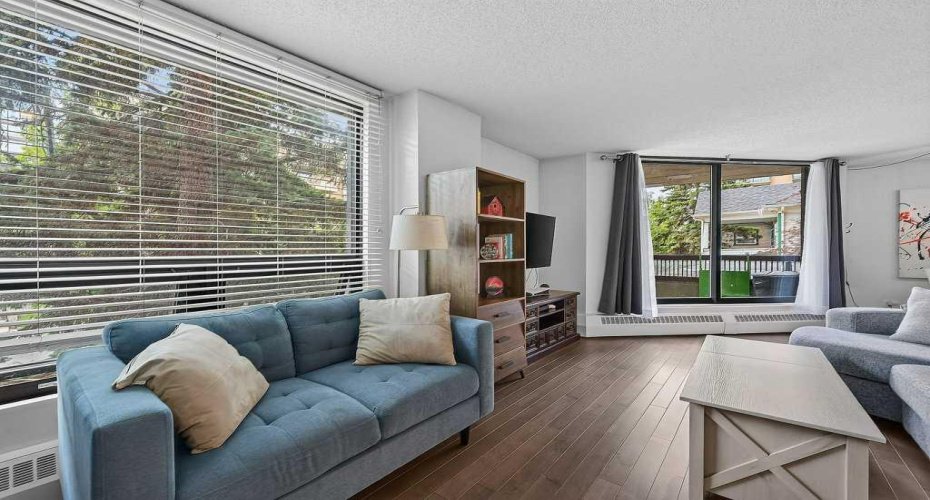 Large windows provide ample natural light