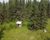 853073 Range Road 234, Rural Northern Lights, County of, Alberta T0H1W0, 0 , 0 ,0,Land,For Sale,Range Road 234,0,A2326788