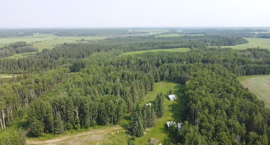853073 Range Road 234, Rural Northern Lights, County of, Alberta T0H1W0, 0 , 0 ,0,Land,For Sale,Range Road 234,0,A2326788