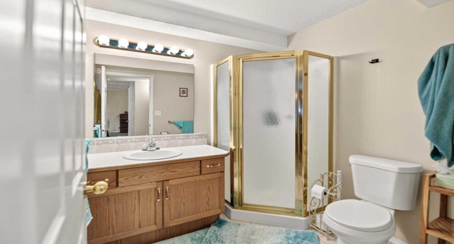 guest bathroom downstairs