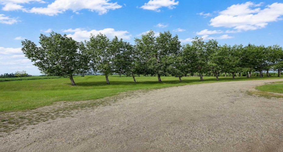 784017 HWY 740, Tangent, Alberta T0H 3J0, 0 , 0 ,0,Agri-business,For Sale,HWY 740,0,A2327148