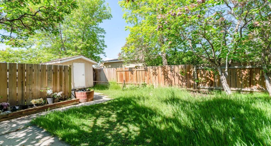 Backyard with Storage Shed