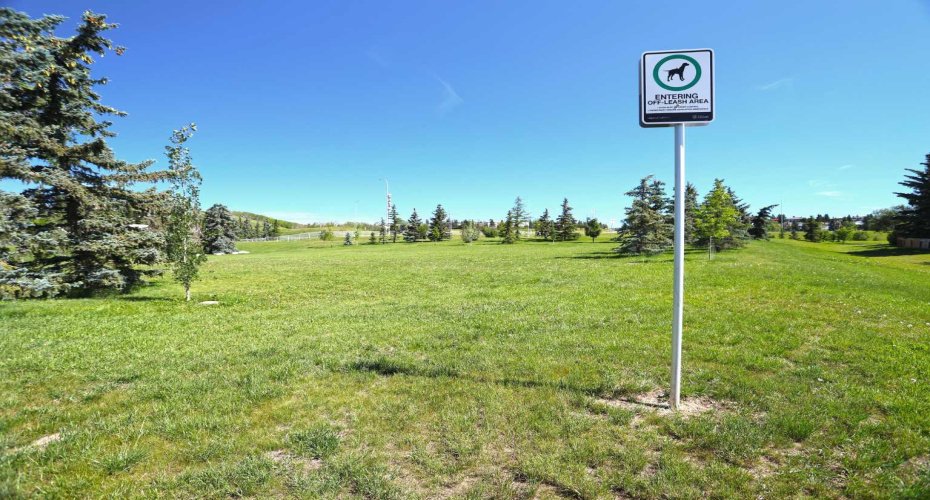 Off-Leash Park