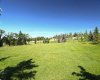 Off-Leash Park