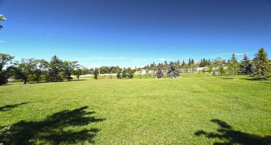Off-Leash Park