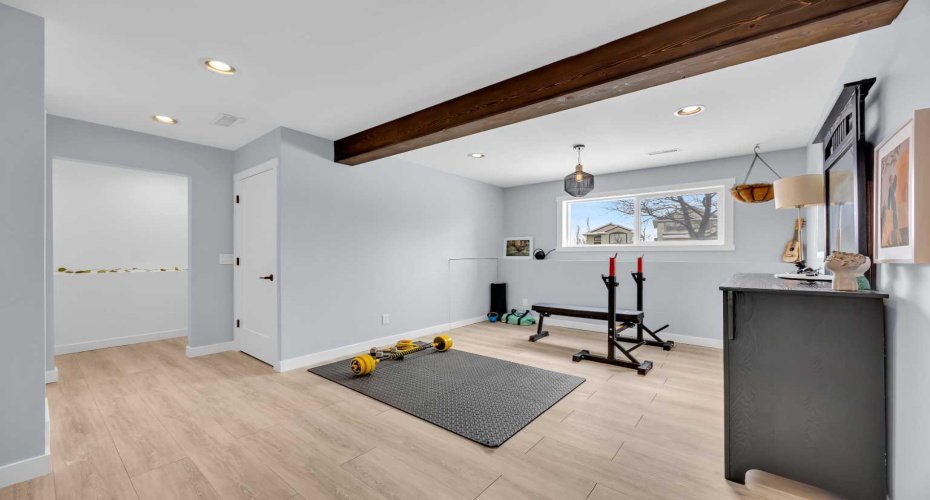 Flex room in the basement