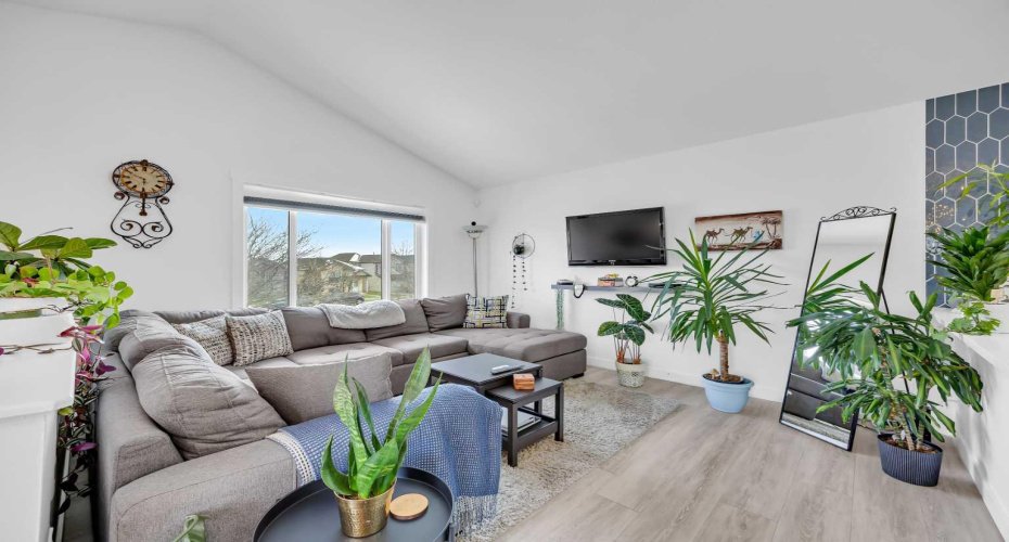 Vaulted ceilings in primary living area