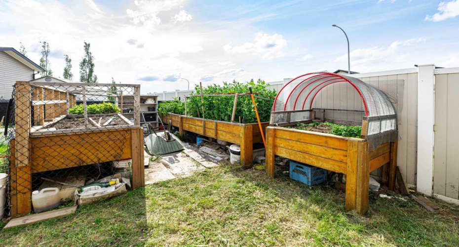 raised garden