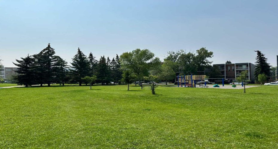 Community Photo