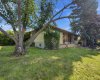 3720 Spruce Drive, Calgary, Alberta T3C 3A7, 3 Bedroom Bedrooms, 0 ,1 BathroomBathrooms,Residential,For Sale,Spruce,0,A2323310