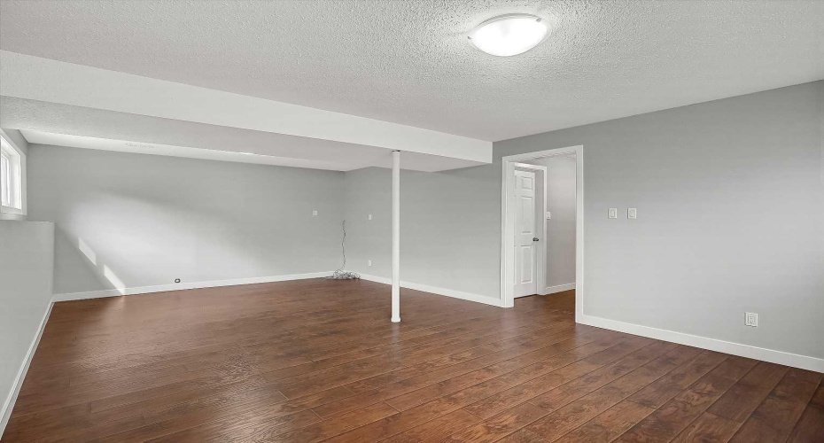 livingroom -lower level