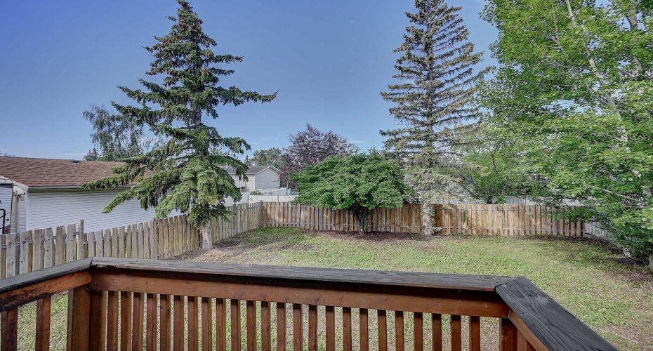 backyard/deck