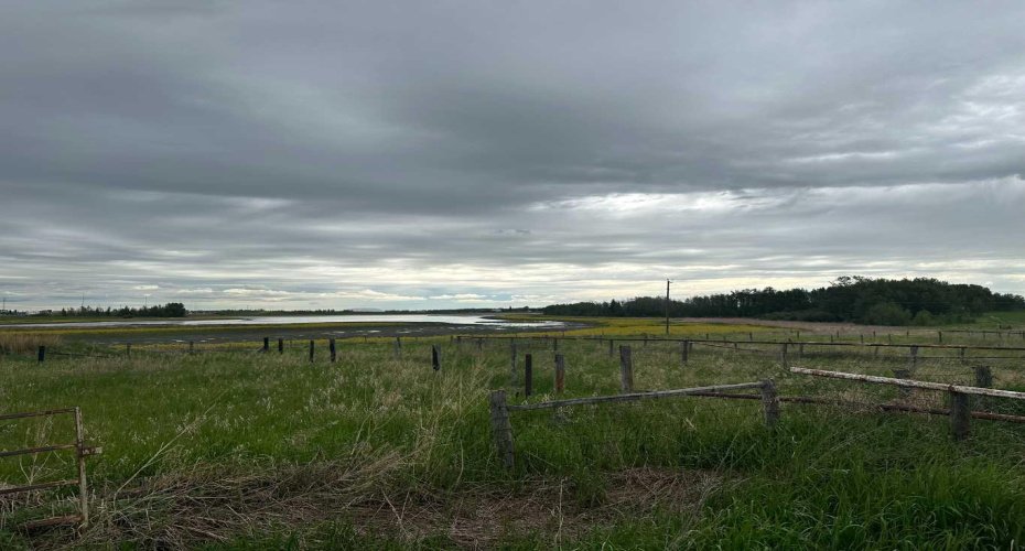 View towards Nature reserve