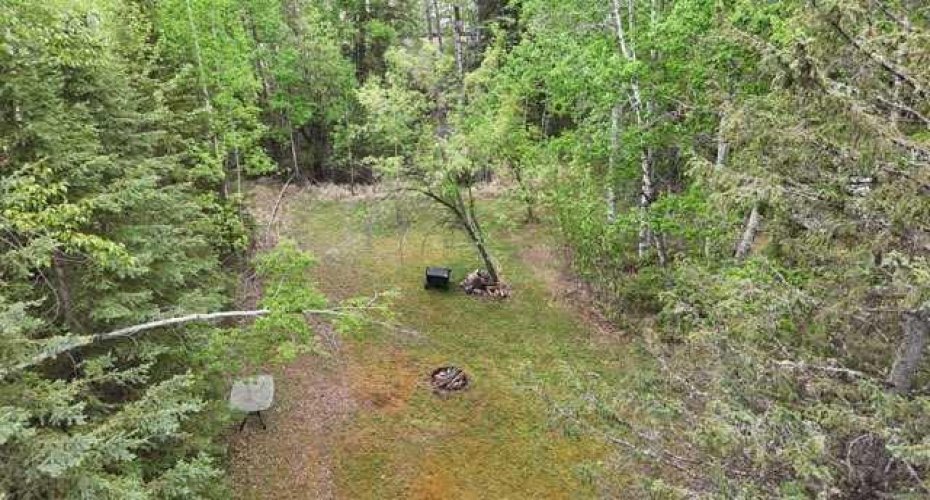20 Voyager Drive, Rural Clearwater County, Alberta T4T 2A4, 4 Bedroom Bedrooms, 0 ,3 BathroomBathrooms,Residential,For Sale,Voyager,0,A2327398