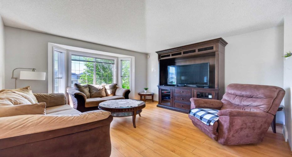 Cozy living room with lots of natural light!