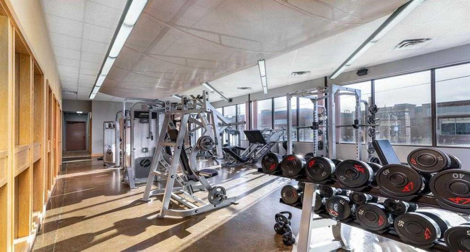 Gym