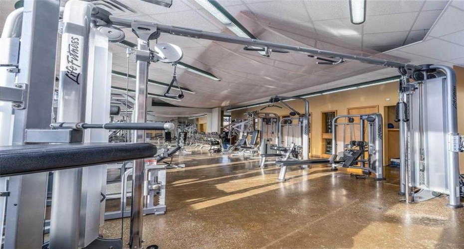 Gym