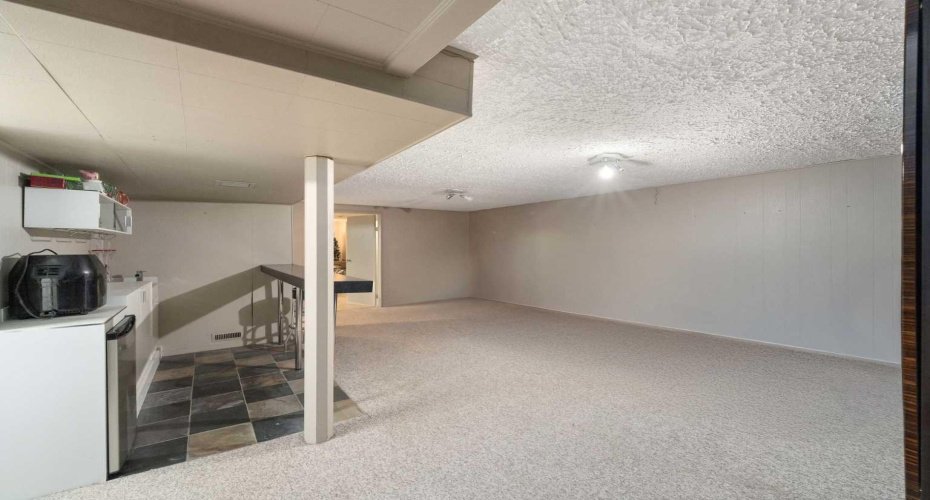 Basement Living area