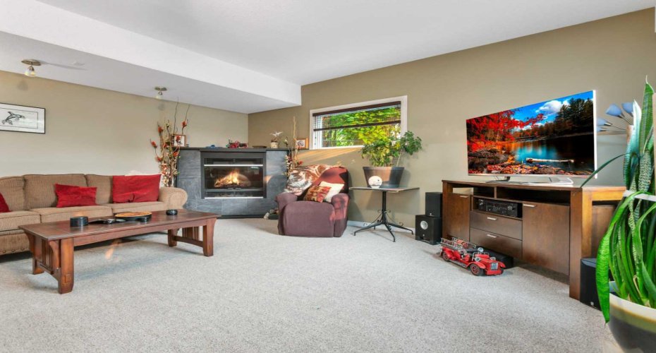 Family Room (Basement)
