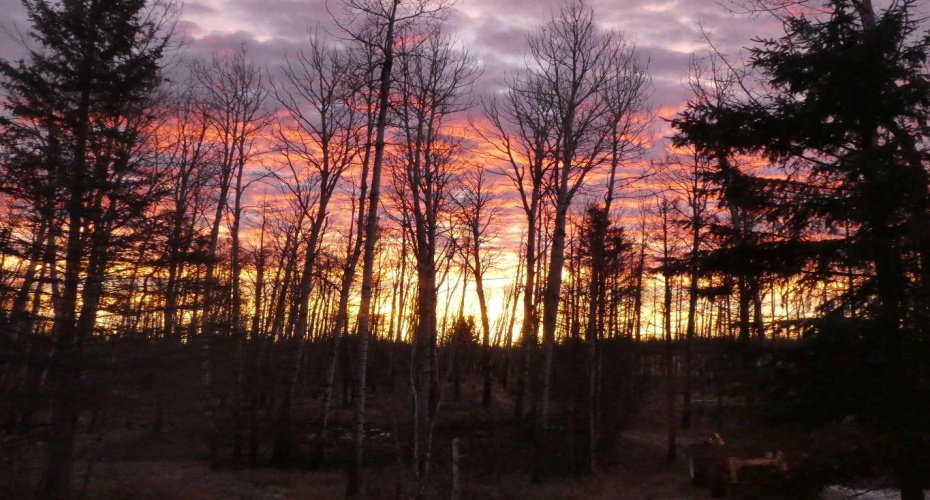 8316 Highway 16A, Rural Yellowhead County, Alberta T0E 0T0, 4 Bedroom Bedrooms, 0 ,2 BathroomBathrooms,Residential,For Sale,Highway 16A,0,A2327758