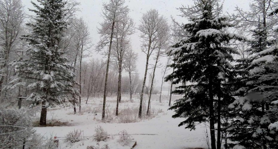 8316 Highway 16A, Rural Yellowhead County, Alberta T0E 0T0, 4 Bedroom Bedrooms, 0 ,2 BathroomBathrooms,Residential,For Sale,Highway 16A,0,A2327758
