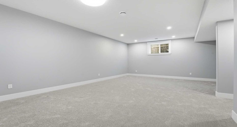 Recreational/family room basement