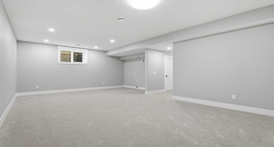 Recreational/family room basement