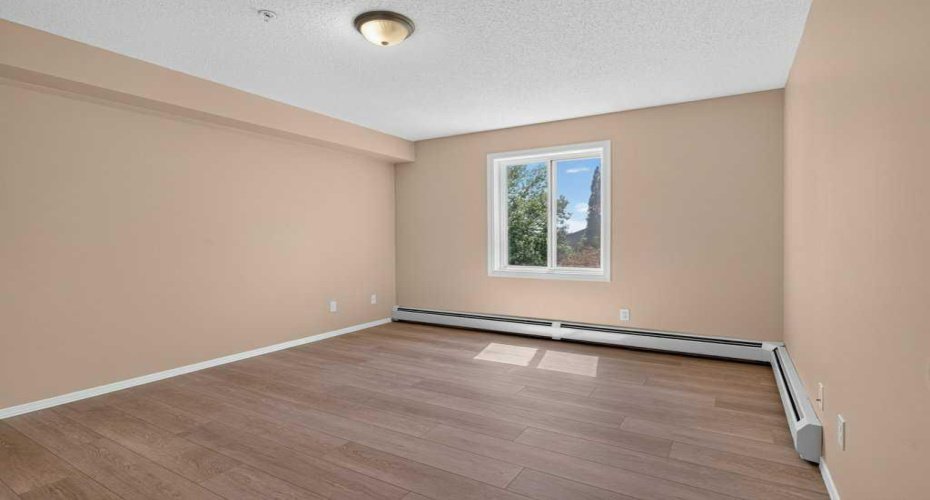 Large Primary Bedroom, South Facing Window