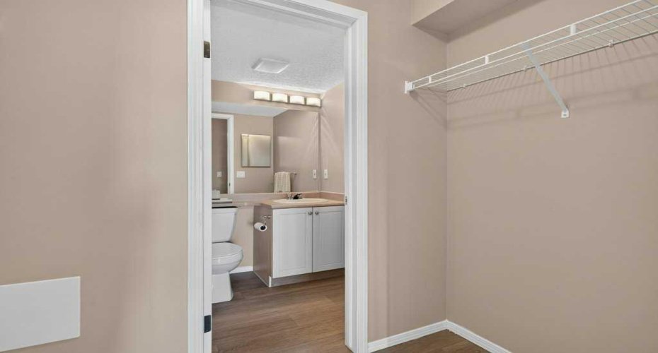 Spacious Walk-Through Closet in Primary Bedroom