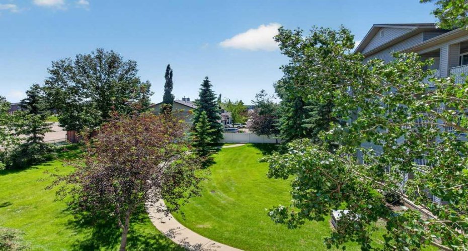 Well-Maintained Green Space & Outdoor Areas