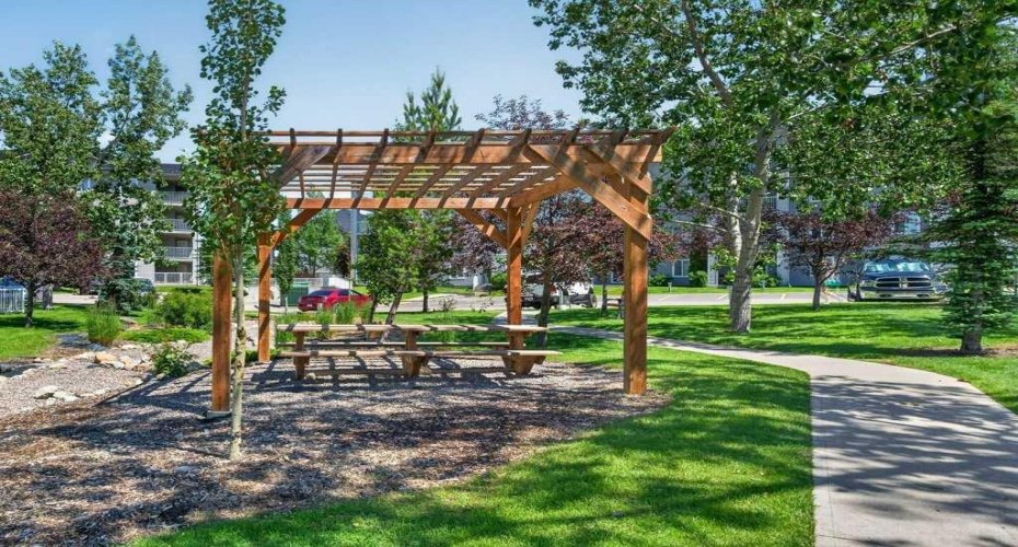 Outdoor Pergola & Picnic Space